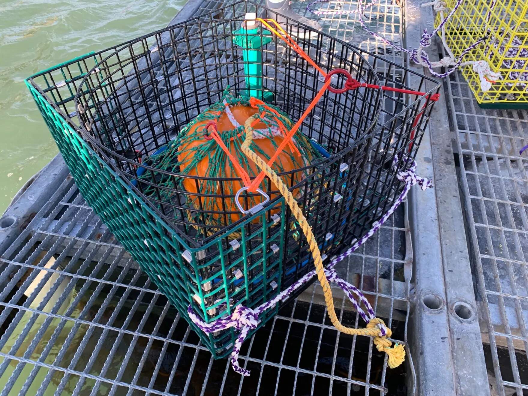 A hard buoy is secured inside a mesh bag. This kind of alternative fishing gear uses an acoustic signal from the vessel to trigger the release of the buoy and stowed rope to the surface for retrieval. (Nicole Ogrysko/Maine Public)