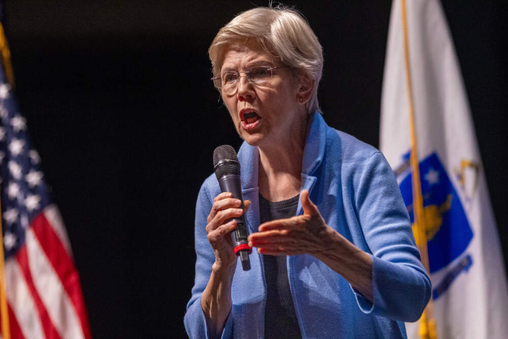 Sen. Elizabeth Warren speaks to a crowd during a town hall at the University of UMass, Lowell. (Jesse Costa/WBUR)