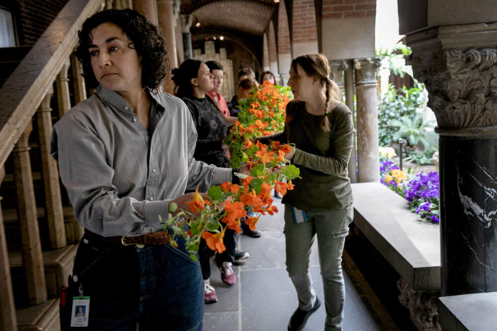 Isabella Stewart Gardner Museum Horticulture Director Erika Rumbley leads a group of staff and volunteers carrying a vine of nasturtiums through the museum's cloisters. (Robin Lubbock/WBUR)