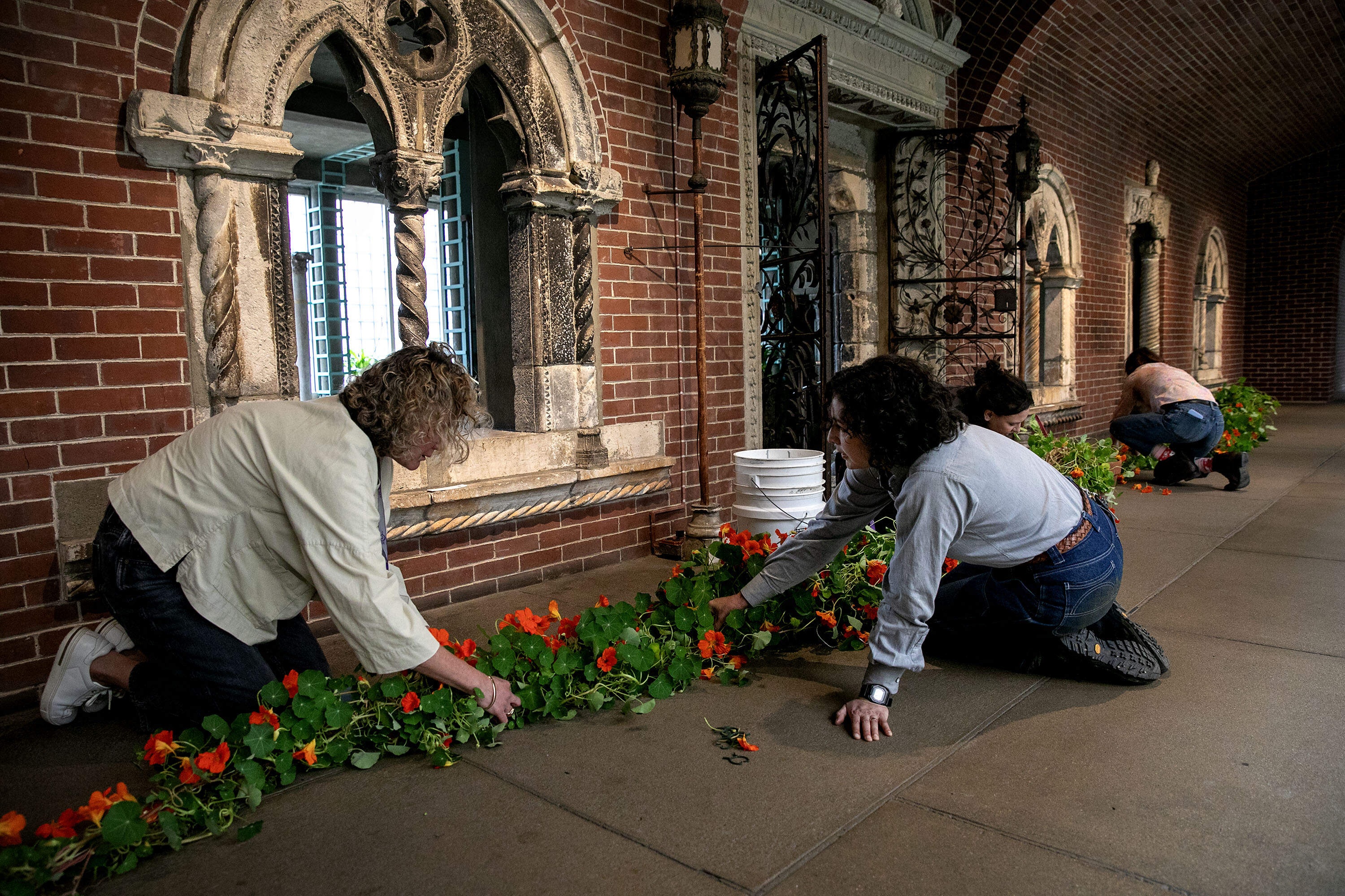 Nasturtiums wait on the floor at Isabella Stewart Gardner Museum, as horticulturalists prepare them for display in the museum's Courtyard. (Robin Lubbock/WBUR)