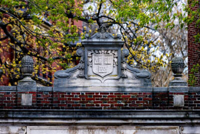 Trump and Harvard: A timeline of events