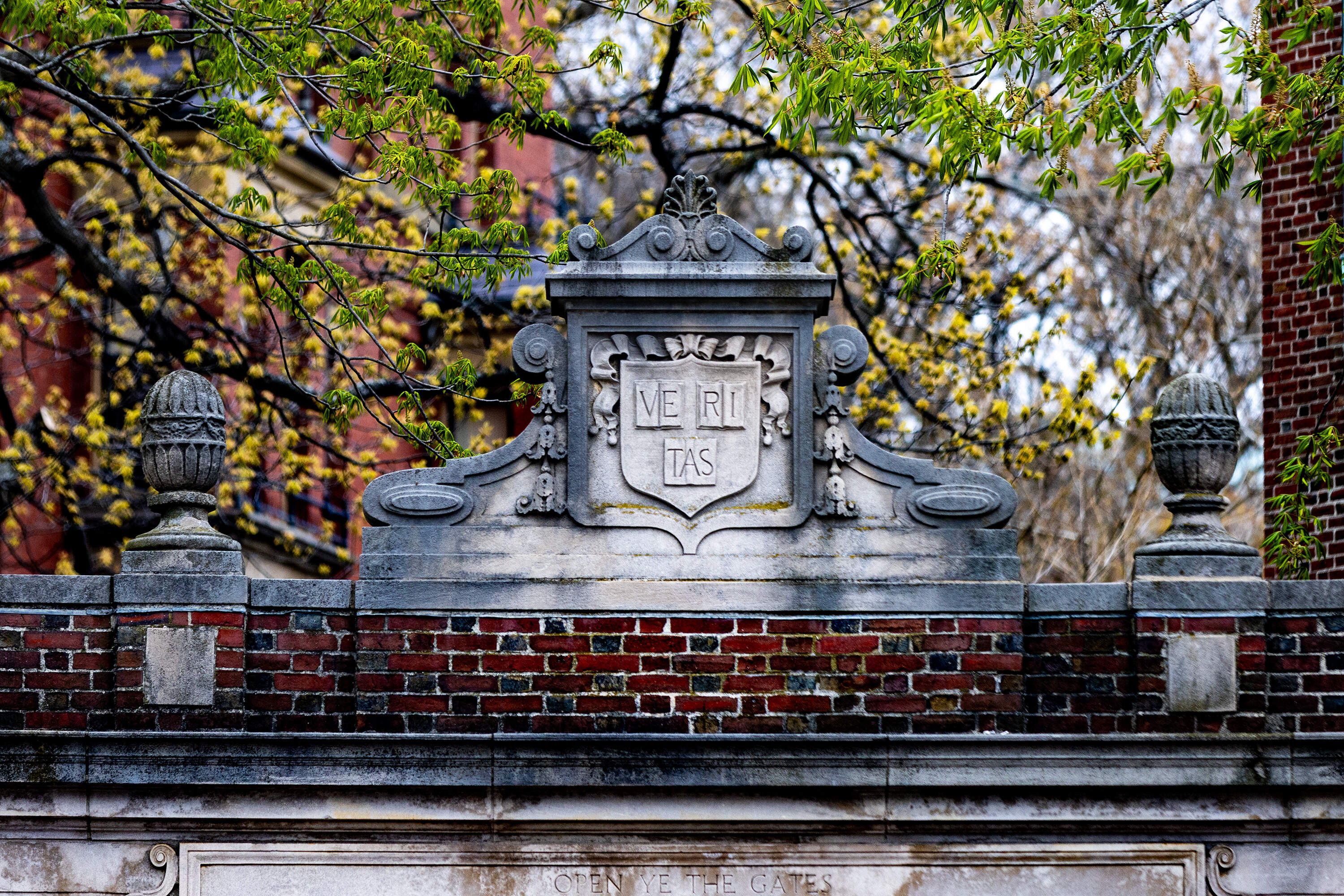 Trump and Harvard: A timeline of events