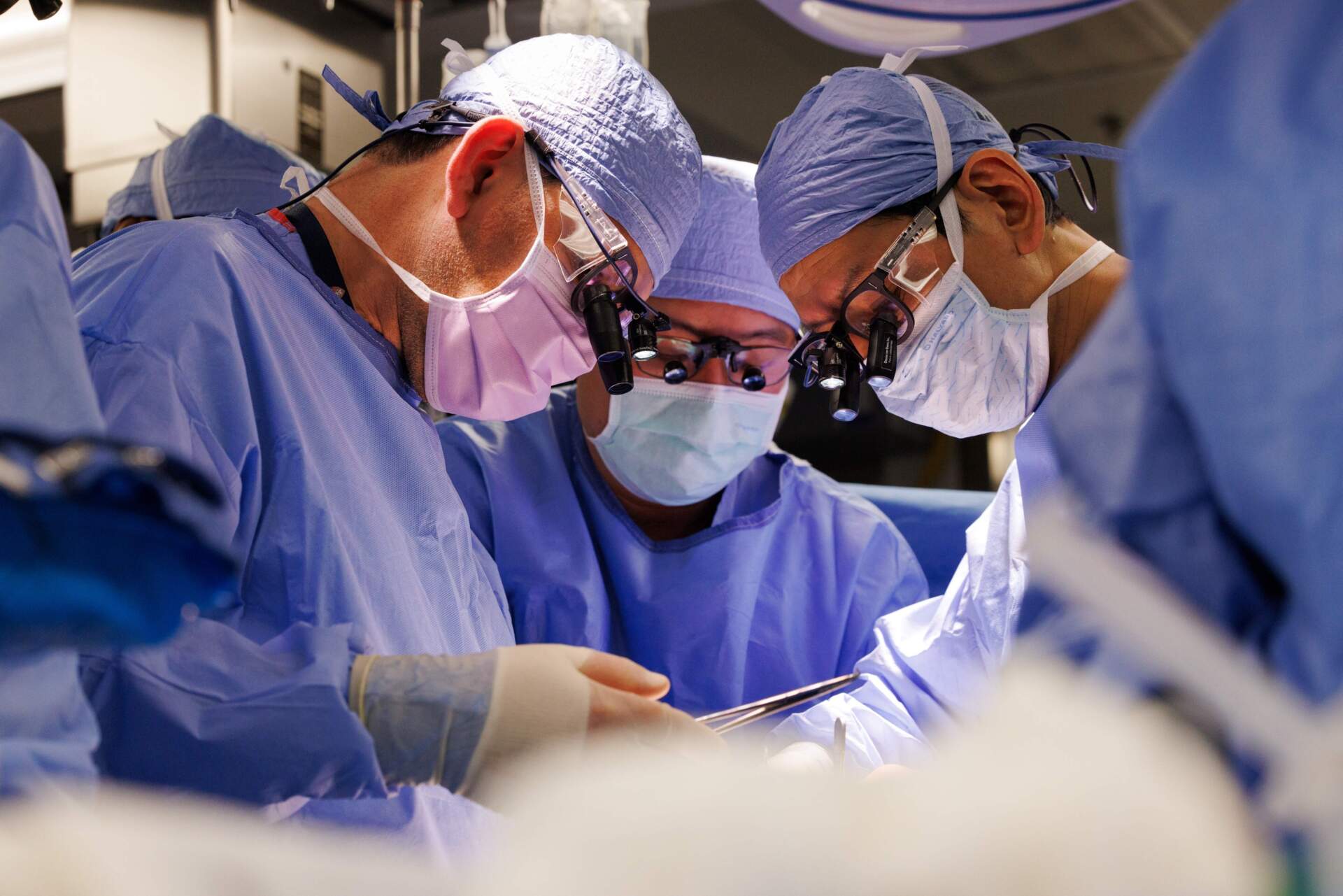 Surgeons at Massachusetts General Hospital perform a pig kidney transplant operation on Tim Andrews on Jan. 25. (Courtesy of Kate Flock/Massachusetts General Hospital)