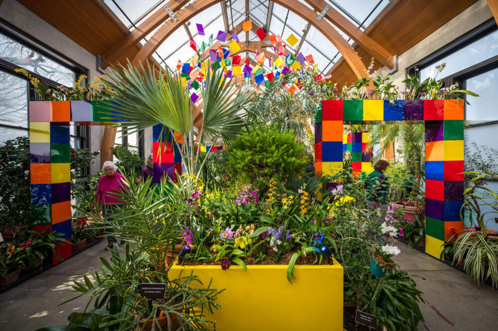 The Limonaia conservatory at the New England Botanic Garden is decked out in displays that resemble a Rubik's Cube. (Courtesy Troy B. Thompson Photography)