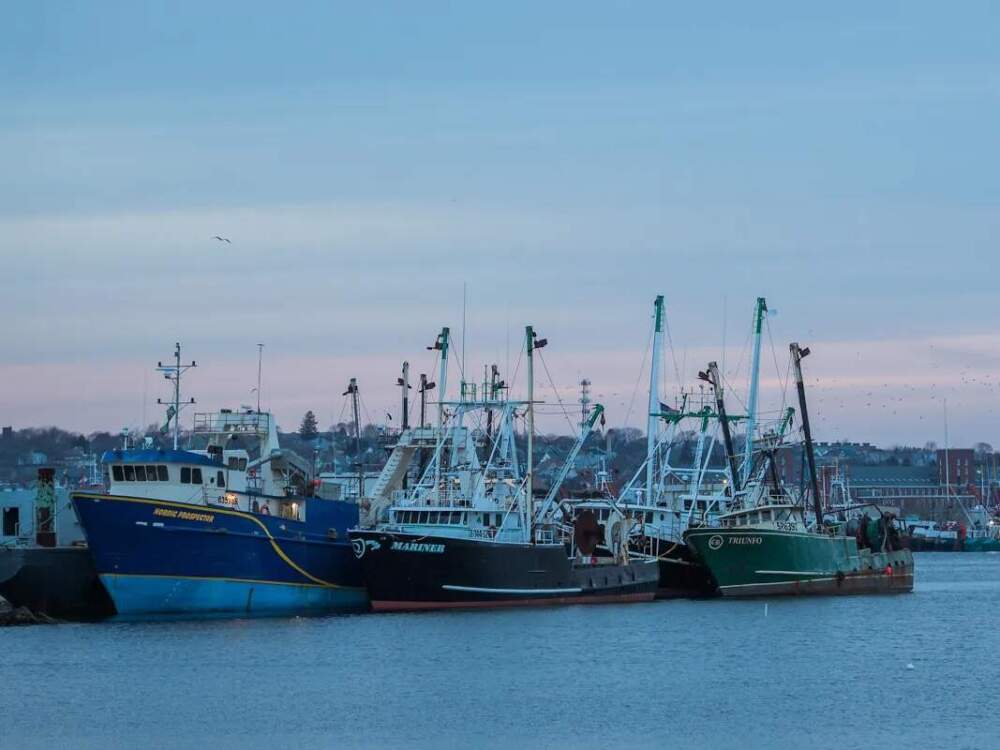 New Bedford is the nation’s highest-grossing fishing port. (Gretchen Ertl / The Public's Radio)