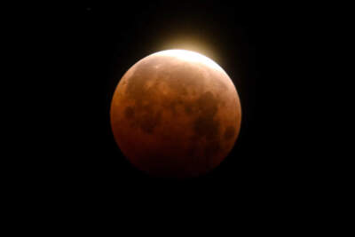 Why is Thursday's 'Blood Moon' red? Here's what to know and when to look up