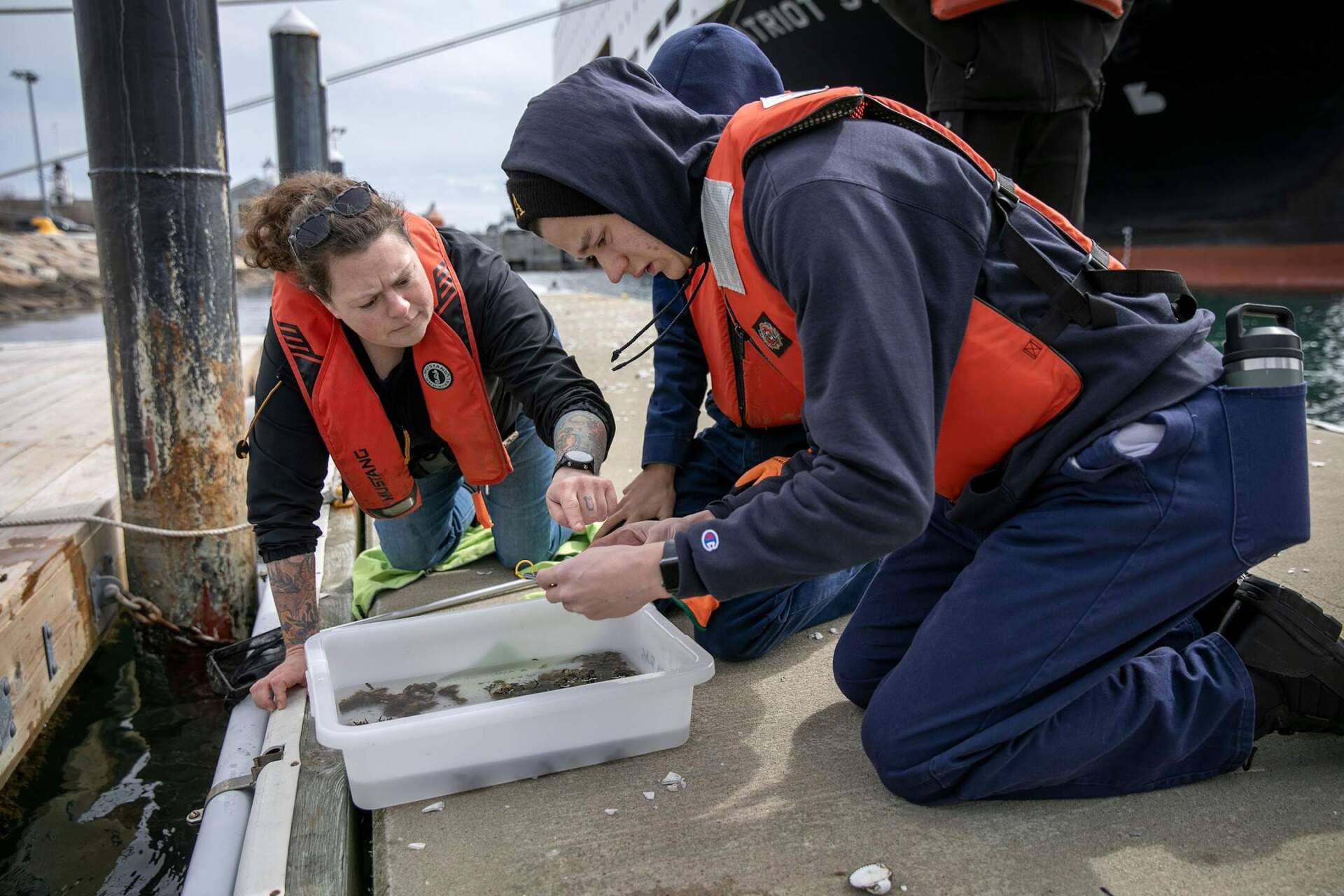 Kristin Osborne works with students to identify sea squirts. (Robin Lubbock/WBUR)