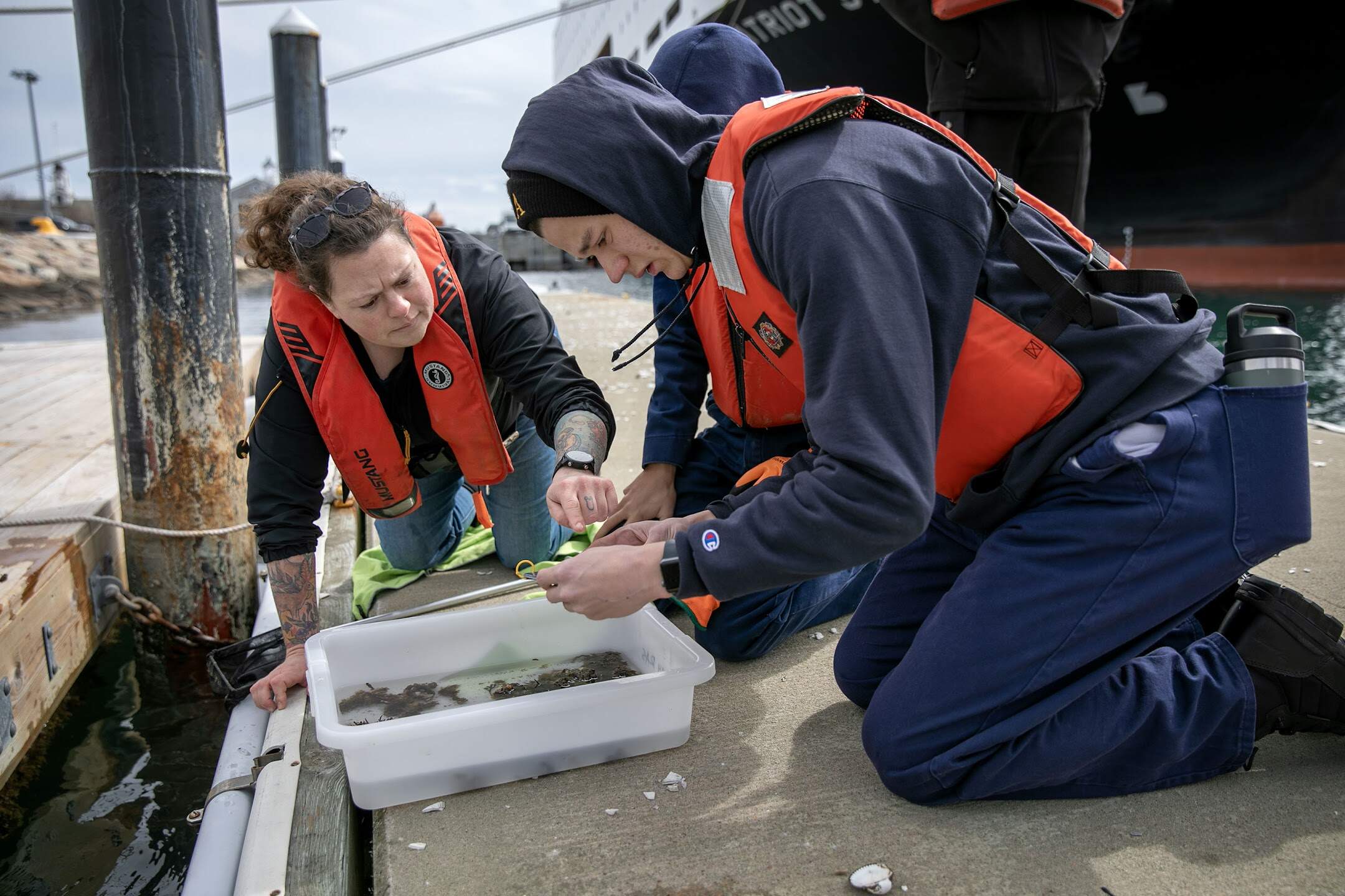 Kristin Osborne works with students to identify sea squirts. (Robin Lubbock/WBUR)