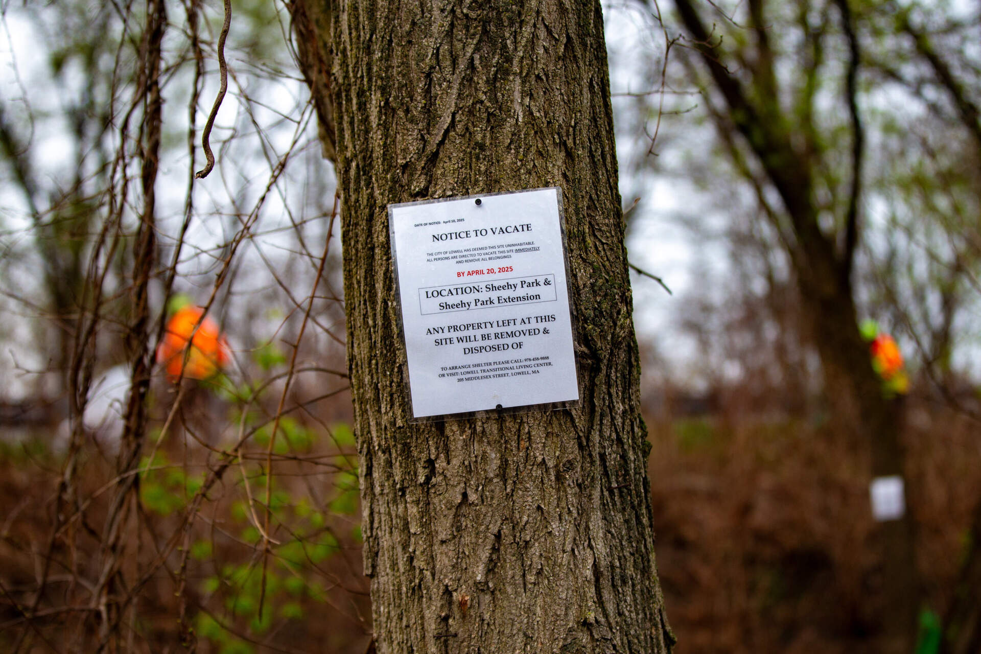 The city of Lowell posted notices saying it had deemed the property uninhabitable and that anyone staying there had to vacate. The deadline was originally set for April 20, but due to the holiday weekend, it was extended to April 22. (Jesse Costa/WBUR)