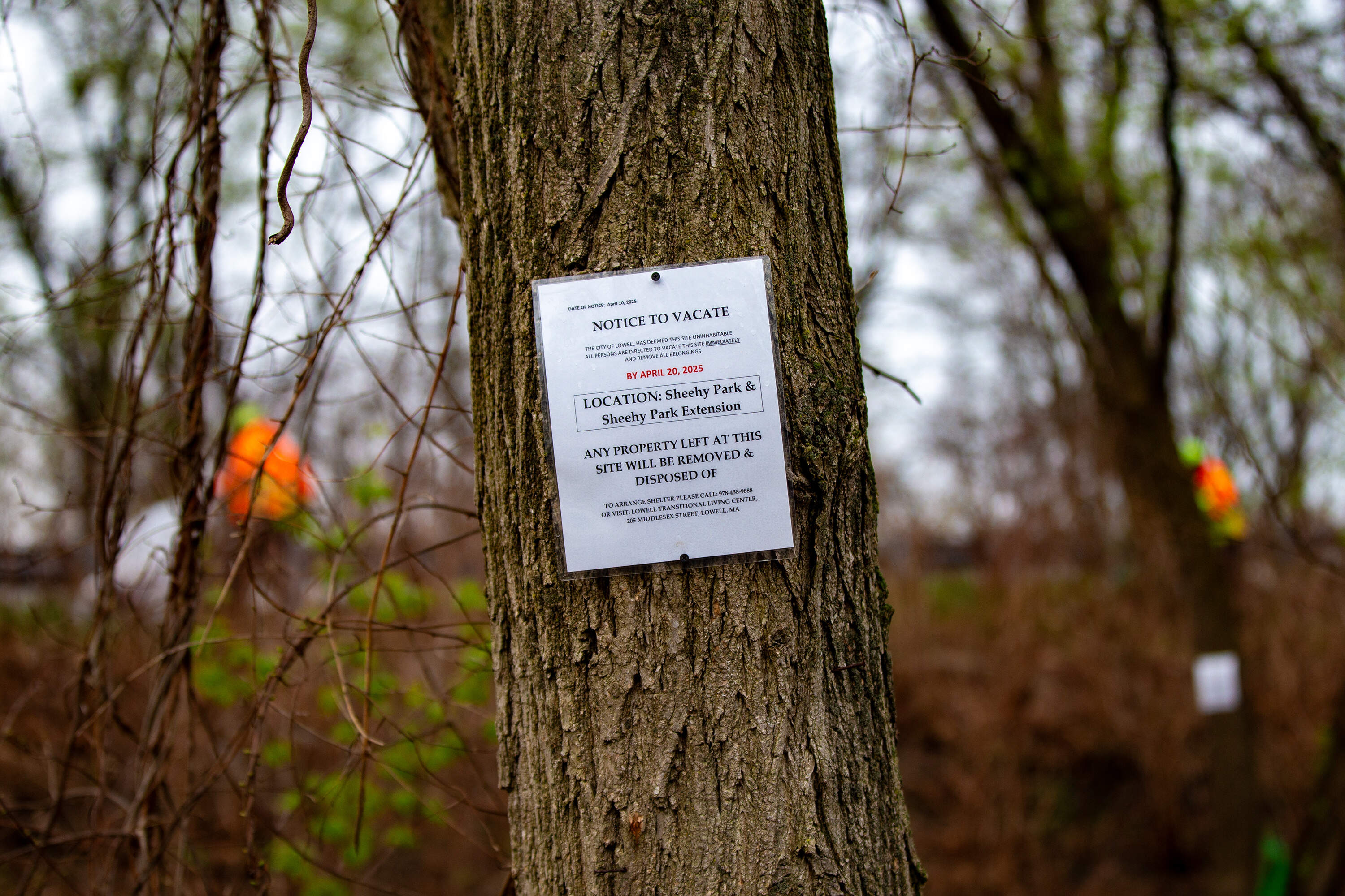 The city of Lowell posted notices saying it had deemed the property uninhabitable and that anyone staying there had to vacate. The deadline was originally set for April 20, but due to the holiday weekend, it was extended to April 22. (Jesse Costa/WBUR)