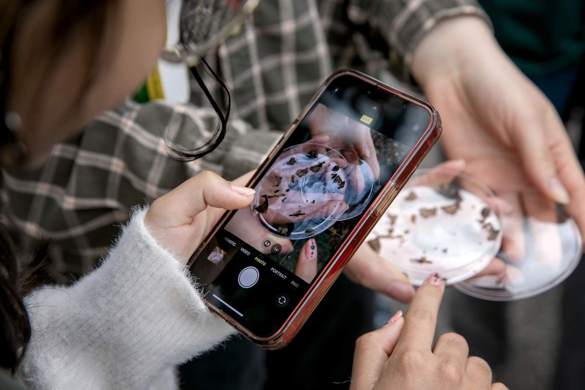 A student takes a photo of insects and leaves in a Petri dish during a class biodiversity hunt. (Robin Lubbock/WBUR)