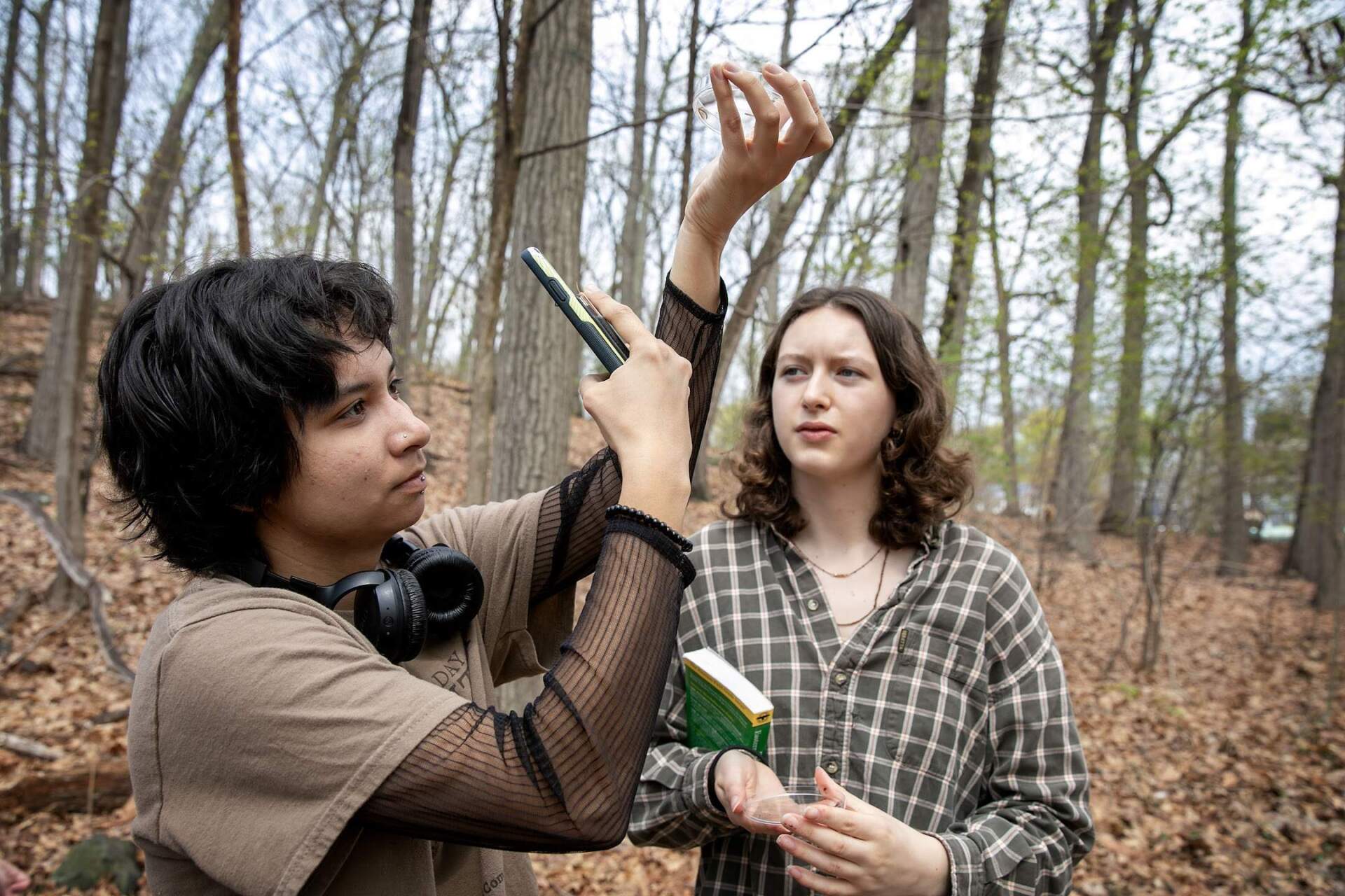 Rose Nolan and Lily Lyons examine and photograph creatures found in a rotted log. (Robin Lubbock/WBUR)