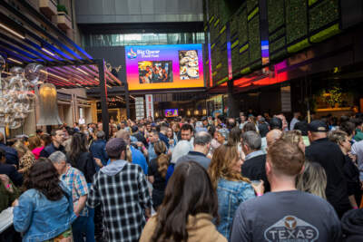 Things to do in May to help you enjoy Boston's blossoming spring