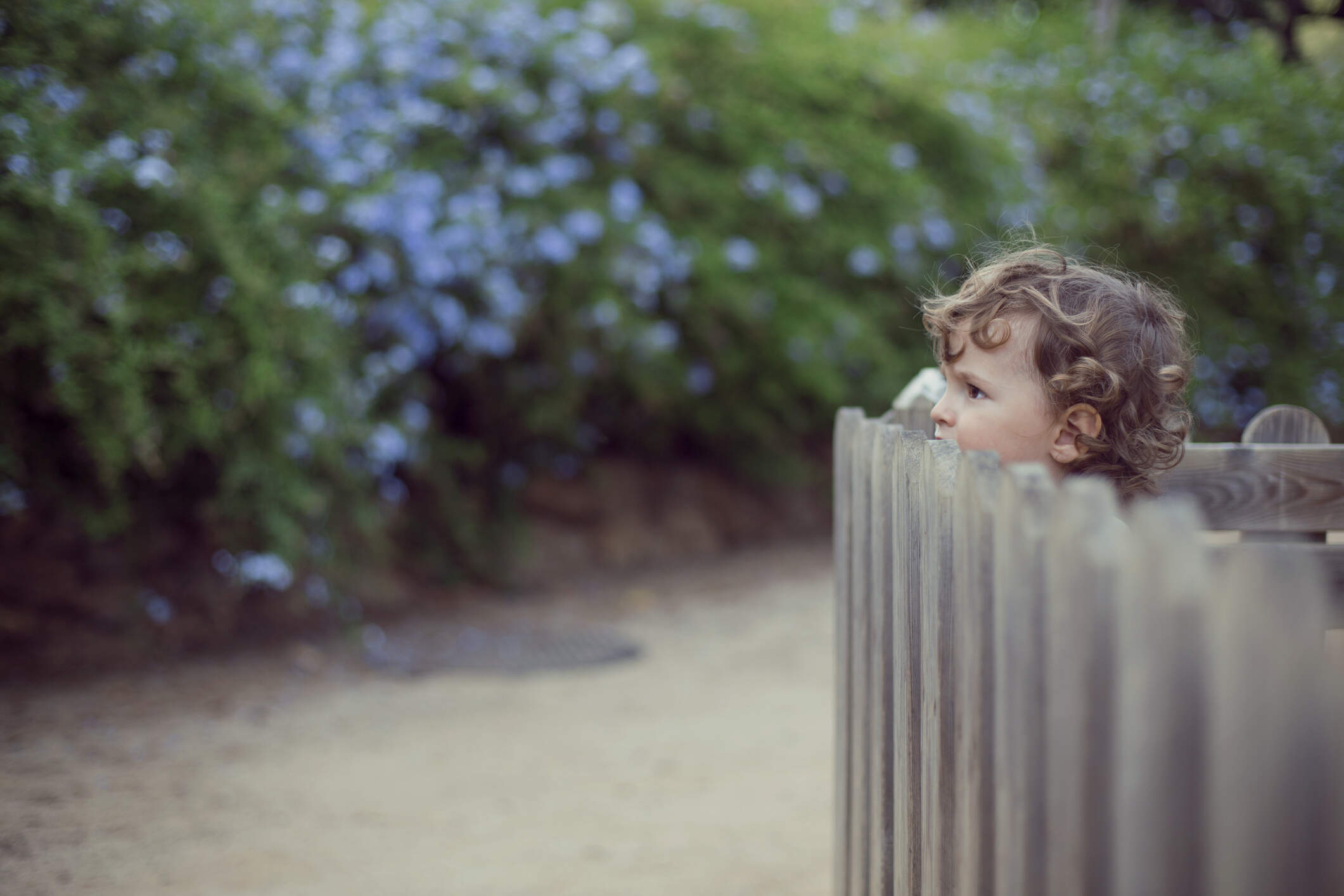 Toddler looking out from the fence. (Getty Images)