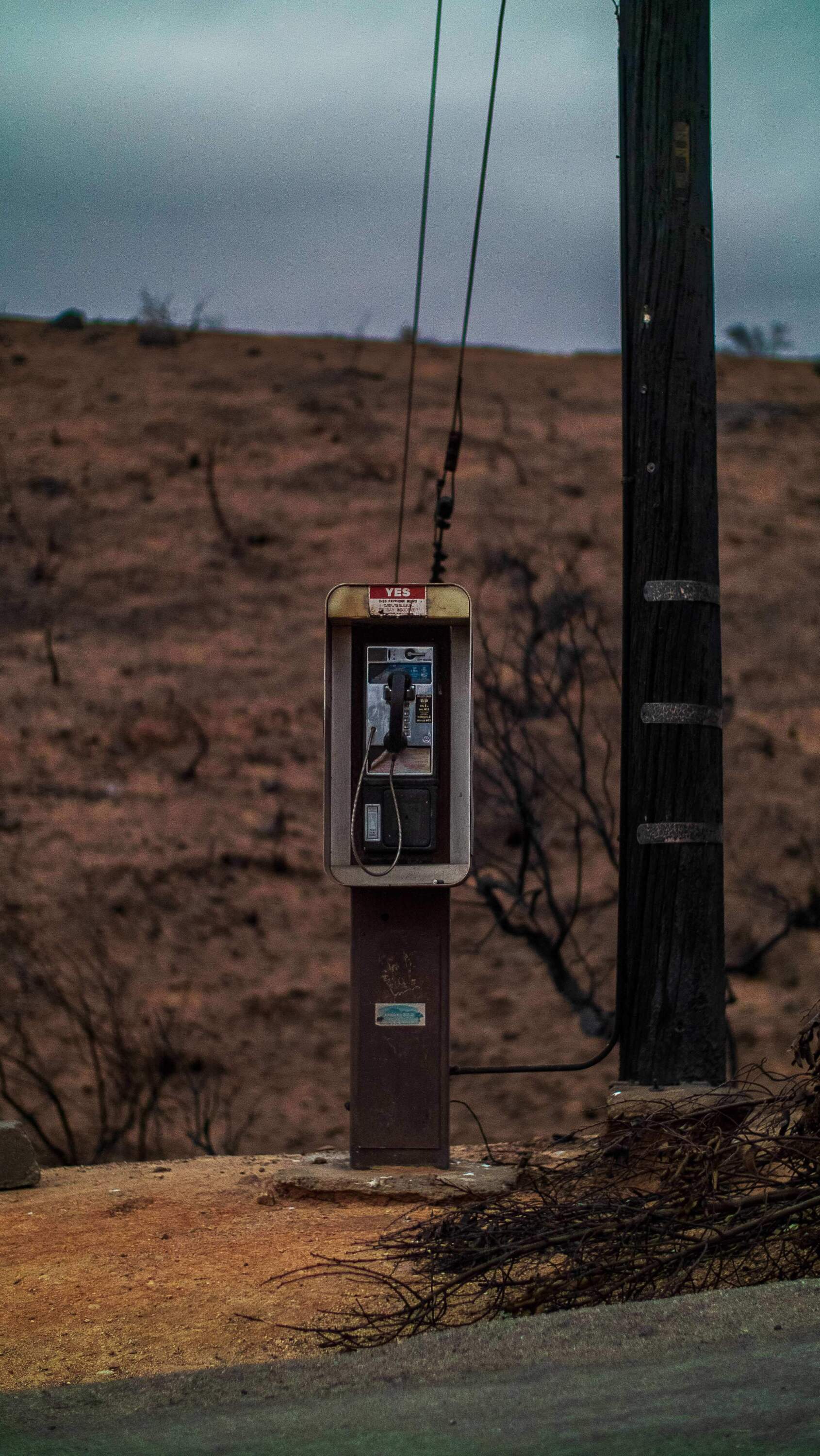 A payphone a week or so after the fires at Chaney Trail, in Altadena. (Courtesy of Adam Trunell)