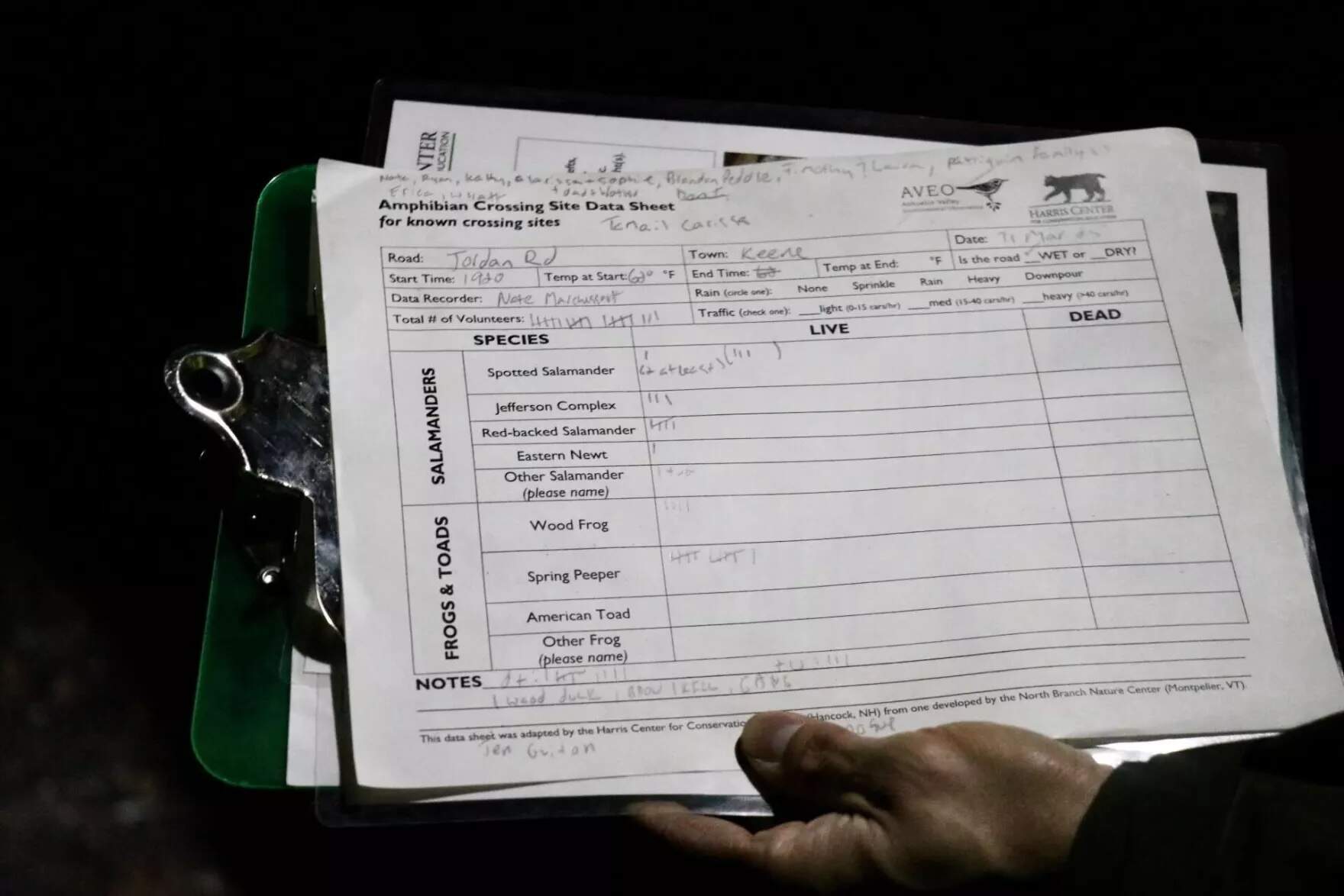 The crossing brigade also records the numbers of dead amphibians they find. (Zoey Knox/NHPR)