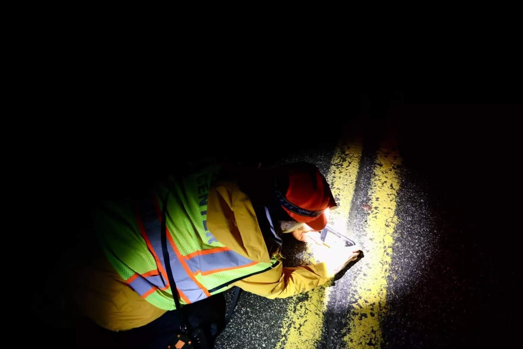 Volunteers try to document how many amphibians are crossing on each rainy, warm night. (Zoey Knox)