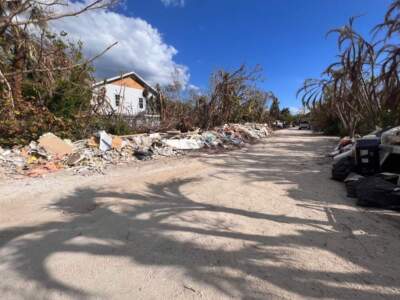 When the snowbirds return