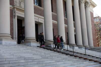 At Harvard, some express frustration over feds' threat to billions in research funds