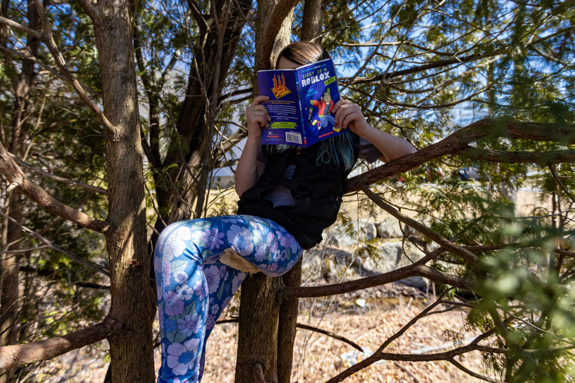 Emily reads a book in a tree in front of the house. (Jesse Costa/WBUR)