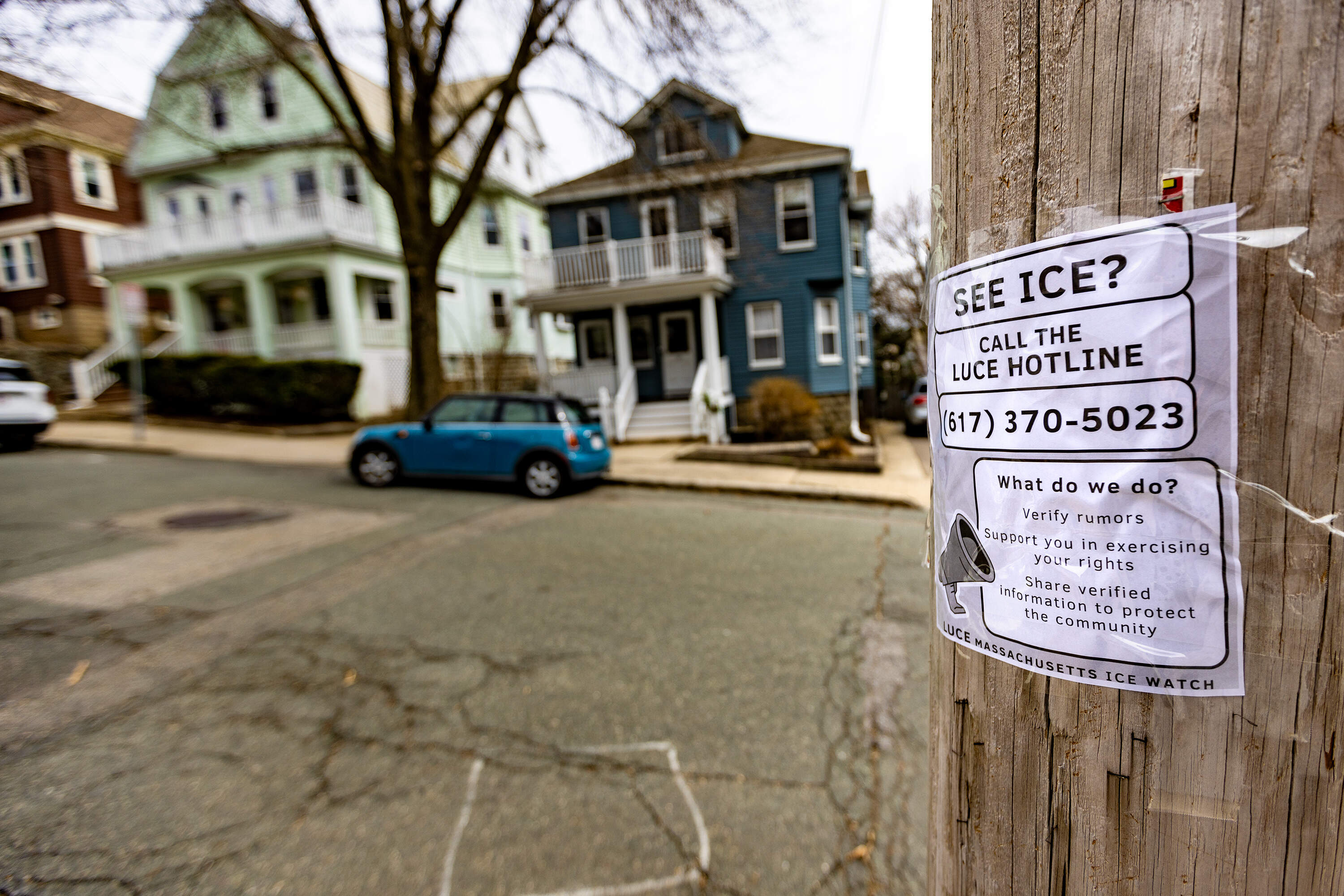 A flier for the LUCE Immigrant Justice Network's emergency hotline taped to a pole in Somerville. (Jesse Costa/WBUR)