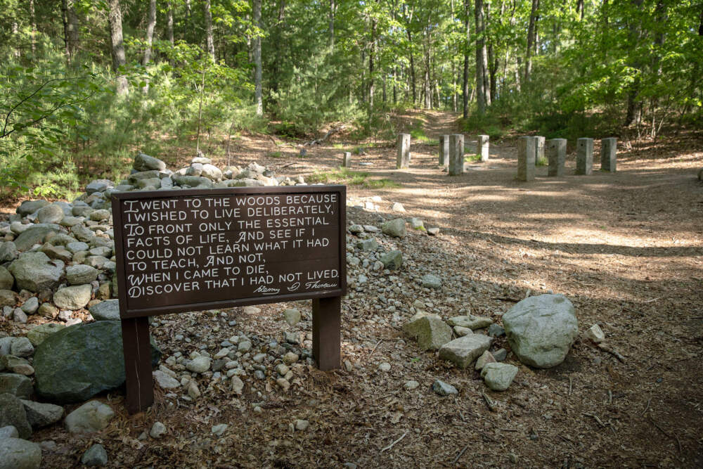 The site of Henry David Thoreau's cabin near Walden Pond. (Robin Lubbock/WBUR)