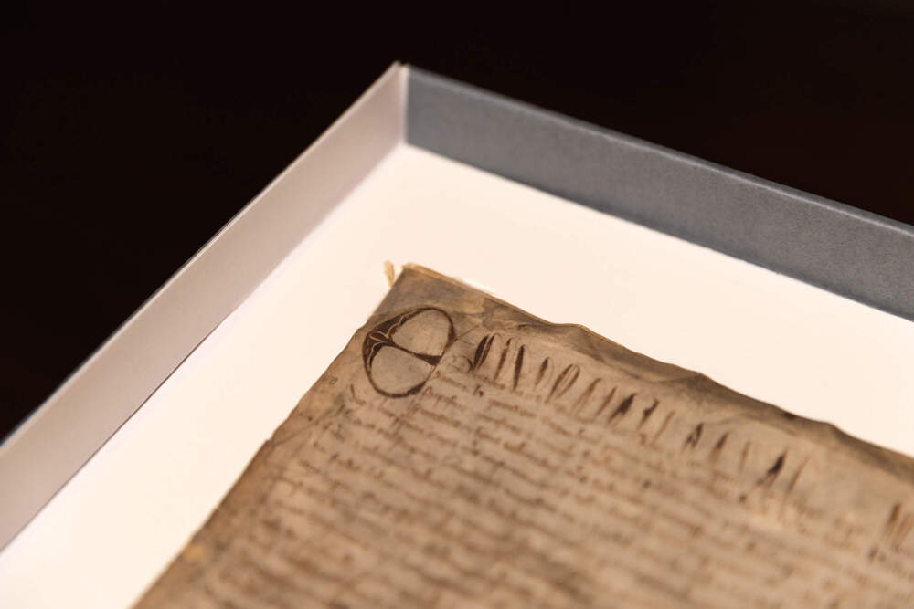 An up-close look at a rare copy of the Magna Carta in a display case at Harvard Law School in Cambridge, Mass. (Courtesy of Lorin Granger, Harvard Law School)