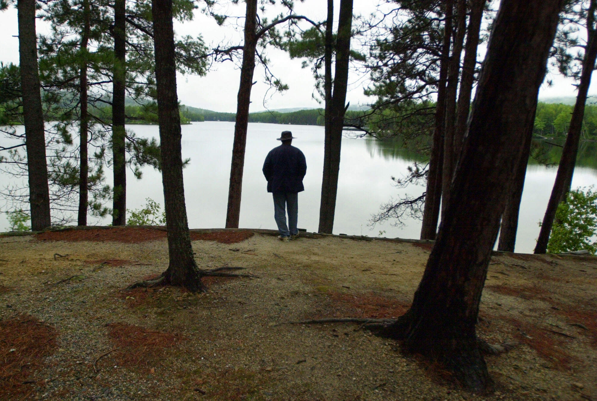 A visitor to Maine's Baxter State Park looks out over Upper Togue Pond from the solitude of a pine grove. (Robert F. Bukaty/AP)