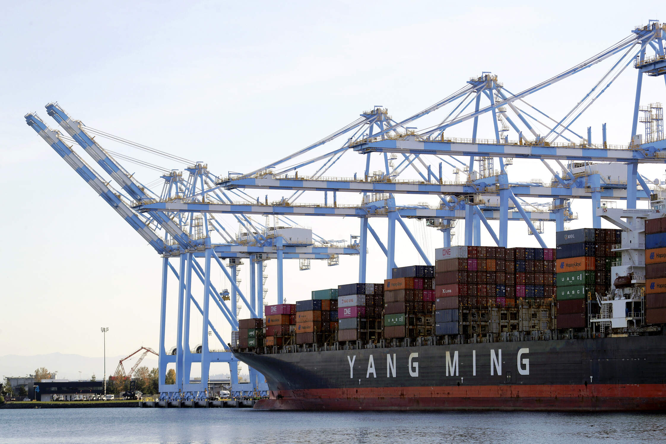 On Nov. 4, 2019, cargo cranes are used to take containers off of a Yang Ming Marine Transport Corporation boat at the Port of Tacoma in Tacoma, Washington. (Ted S. Warren/AP)