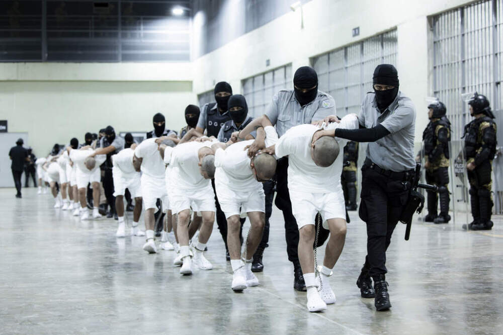 In this photo provided by El Salvador's presidential press office, prison guards transfer deportees from the U.S., alleged to be Venezuelan gang members, to the Terrorism Confinement Center in Tecoluca, El Salvador, March 16, 2025. (El Salvador presidential press office via AP)