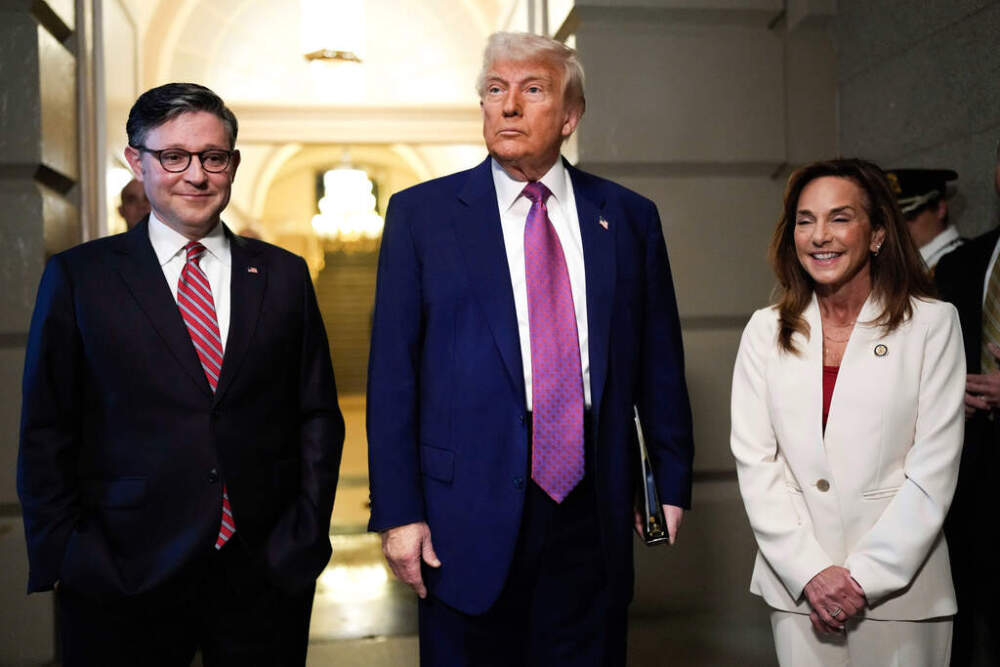 President Donald Trump, center, surrounded by Speaker of the House Mike Johnson, R-La., and Rep. Lisa McClain, R-Mich., speaks to reporters before a House Republican conference meeting, Tuesday, May 20, 2025, at the U.S. Capitol in Washington. (Julia Demaree Nikhinson/AP)