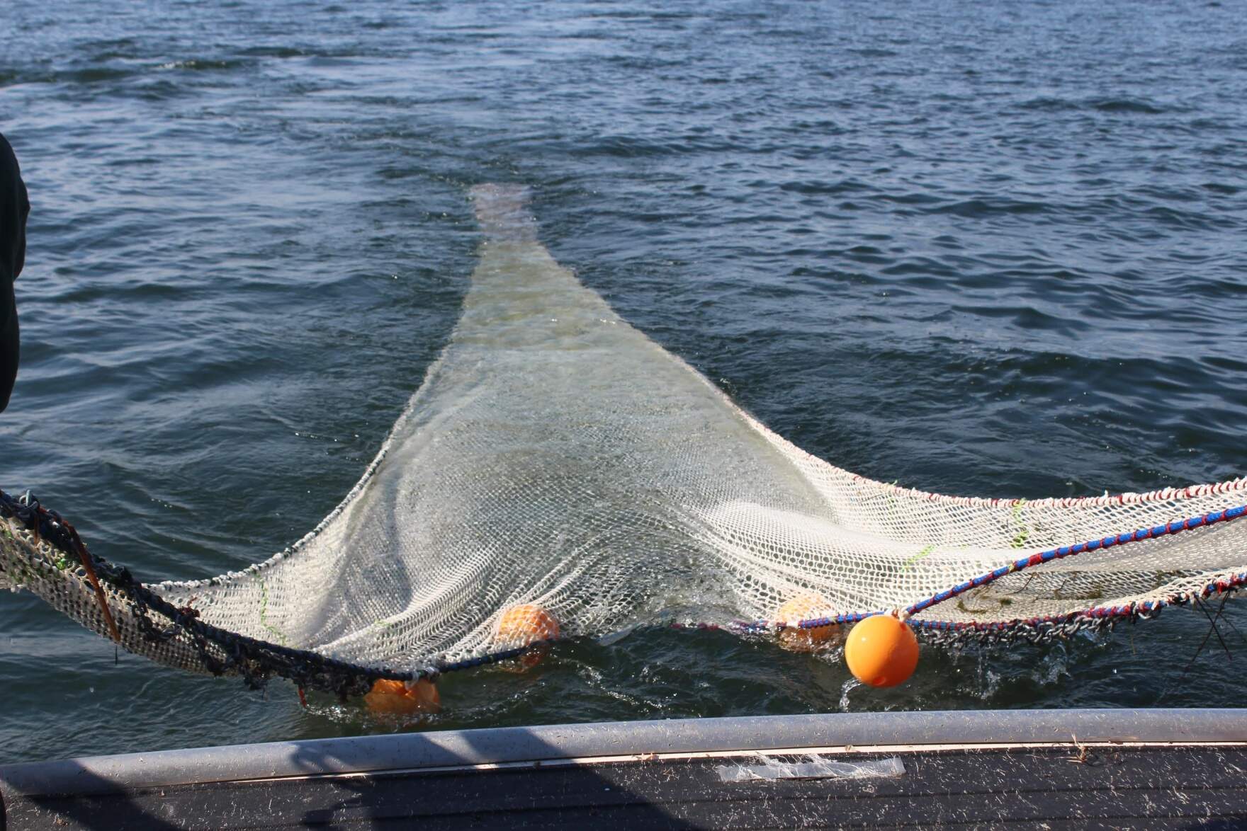 The crew lowers the trawling net into the lake. (Abagael Giles/Vermont Public)