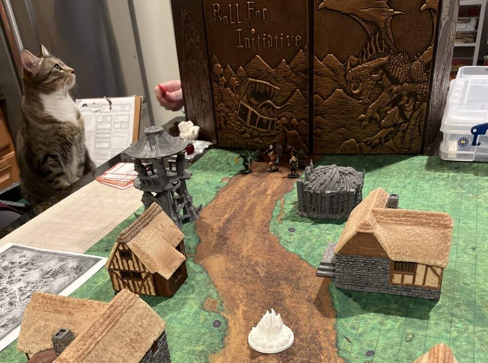 The author and her husband's Dungeons &amp; Dragons campaign, with their cat standing guard. (Courtesy Talia Vestri)