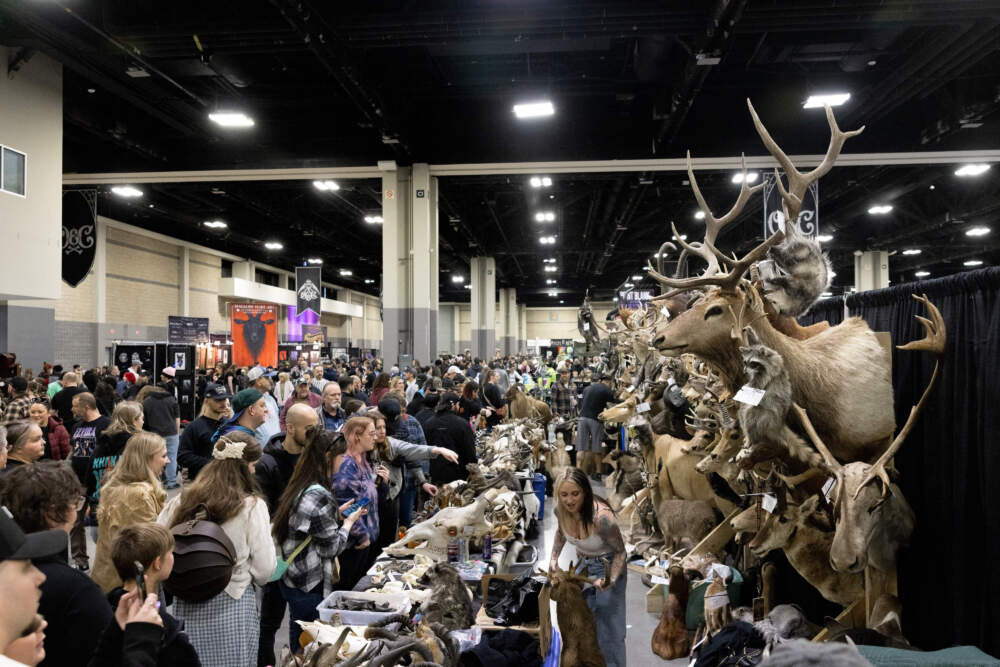 The Oddities and Curiosities Expo during its stop in Charlotte, North Carolina this past February. (Photo courtesy of Michelle Cozzaglio/Oddities and Curiosities Expo)