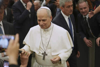 The challenges facing the first-ever American pope