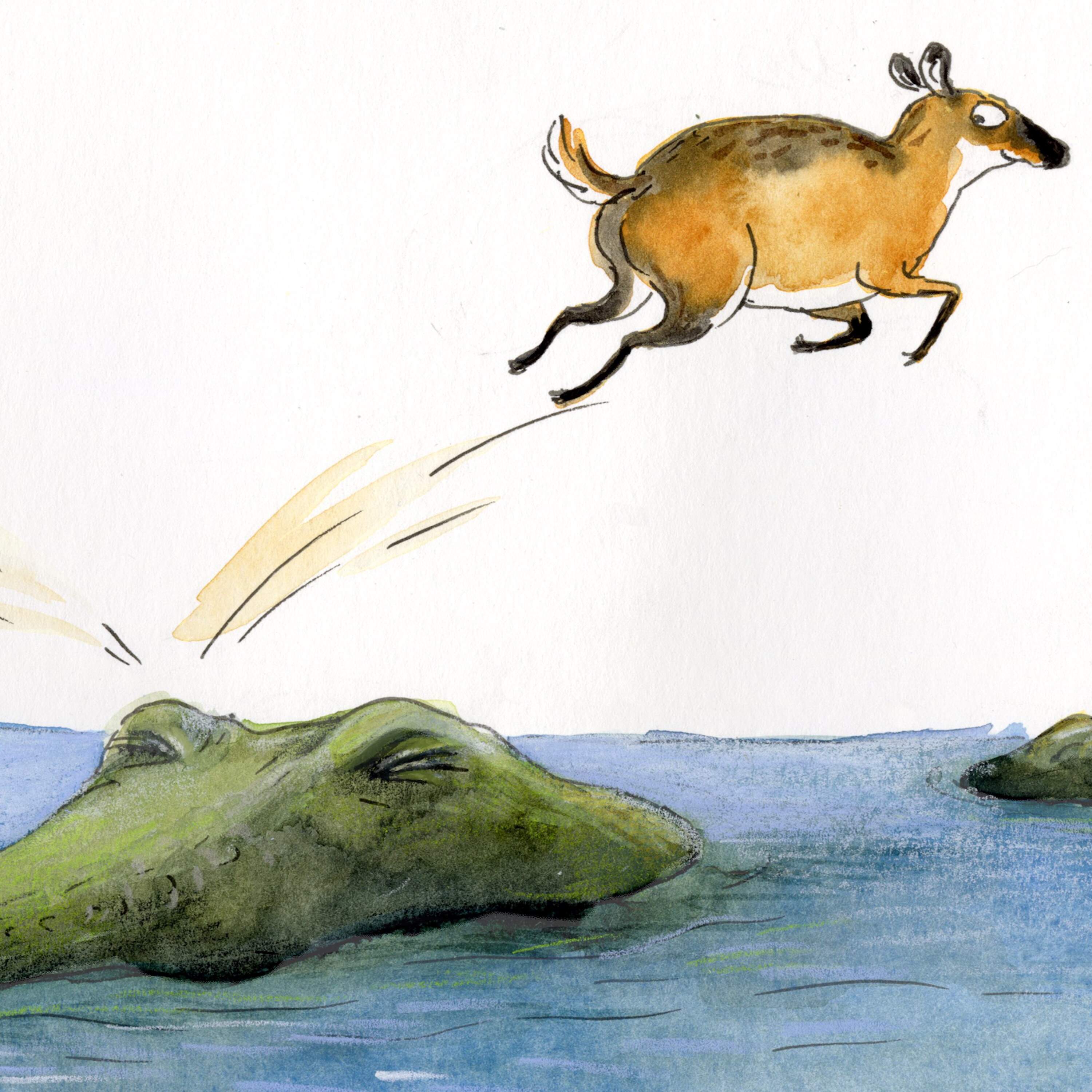  Encore: Counting Crocodiles 