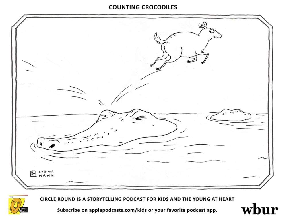 Crocodile. (Sabina Hahn for WBUR)