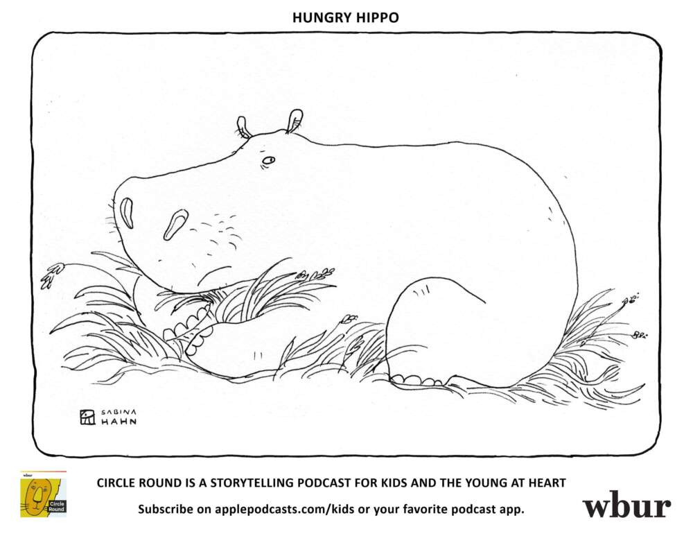 Hippo. (Sabina Hahn for WBUR)