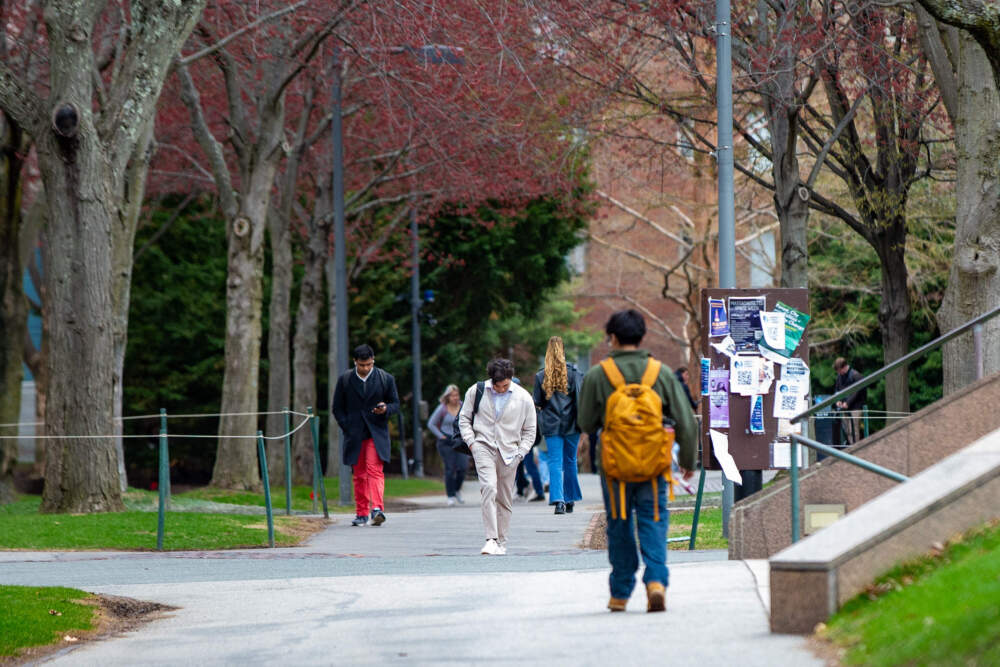 Students walk through Harvard Yard. (Jesse Costa/WBUR)