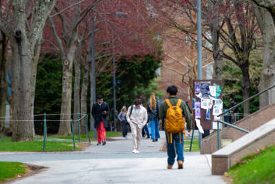 Slew of universities, attorneys general urge court to side with Harvard in federal funding suit