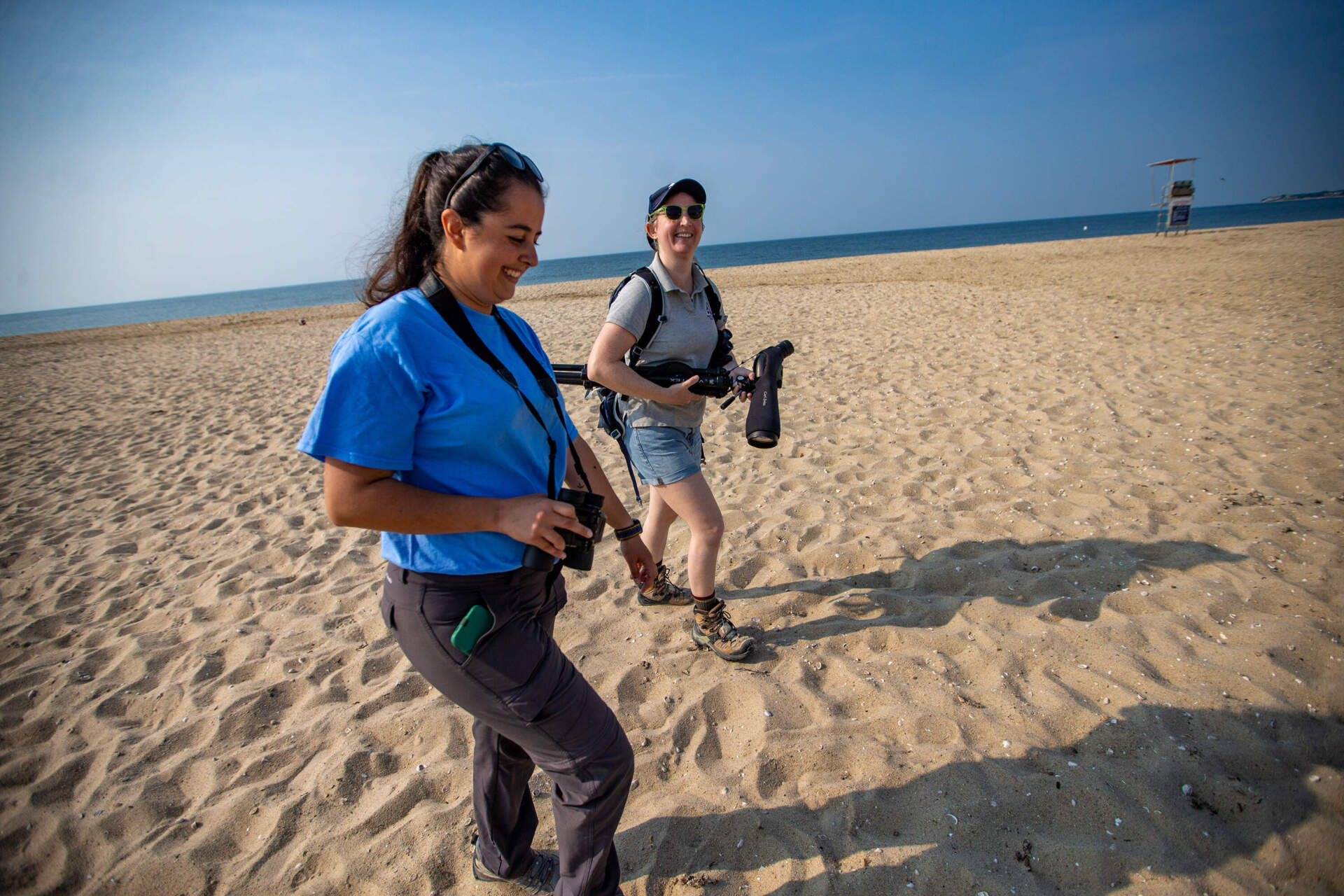 Mass Audubon's Lyra Brennan, right, and Jamie Infanti walk along Craigville Beach in Barnstable in search of piping plovers for the annual census. (Jesse Costa/WBUR)