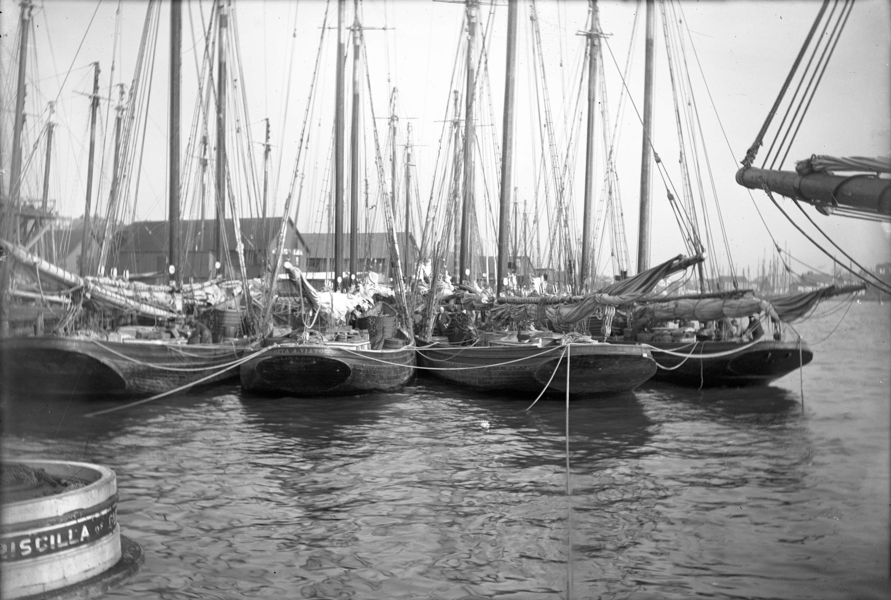 Ernest L. Blatchford, "View of Gloucester Harbor," c. 1900. (Courtesy Cape Ann Museum Library & Archives)