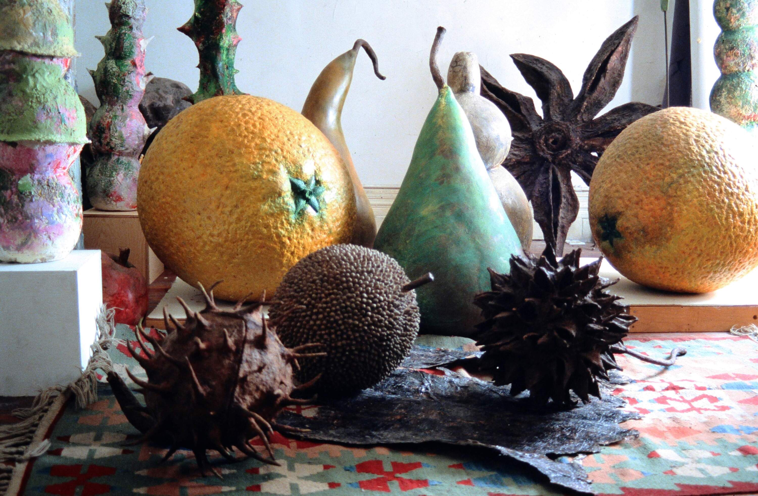 1990s studio photograph by Ming Fay, "Hybrids, Fruit, Seeds," (Courtesy Isabella Stewart Gardner Museum)
