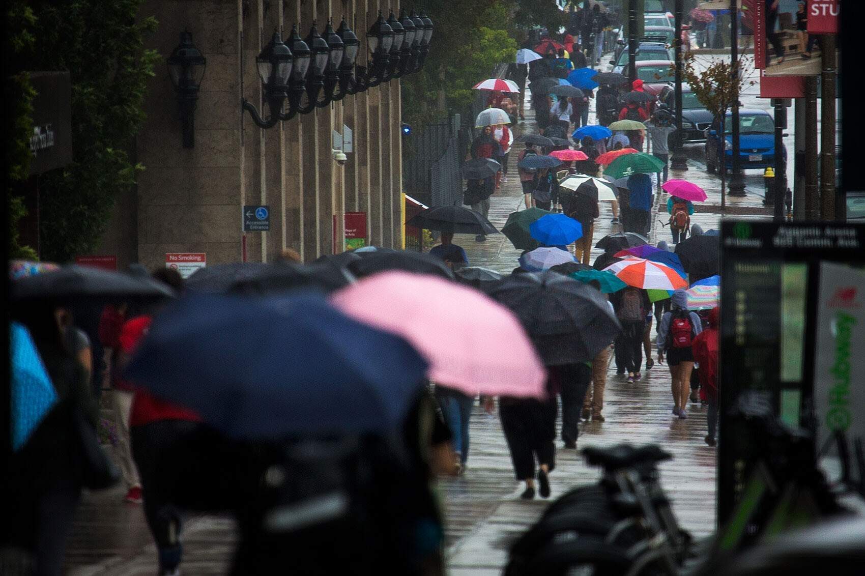 Umbrellas cover a Boston sidewalk to shield from the rain. (Jesse Costa/WBUR)