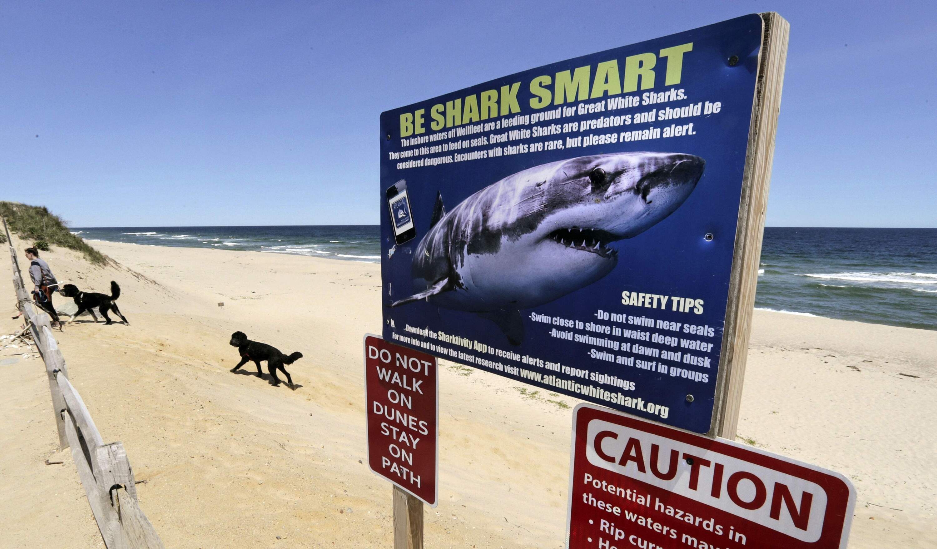 Newcomb Hollow Beach in Wellfleet, where a boogie boarder was bitten by a shark in 2018 and later died of his injuries. (Charles Krupa/AP)