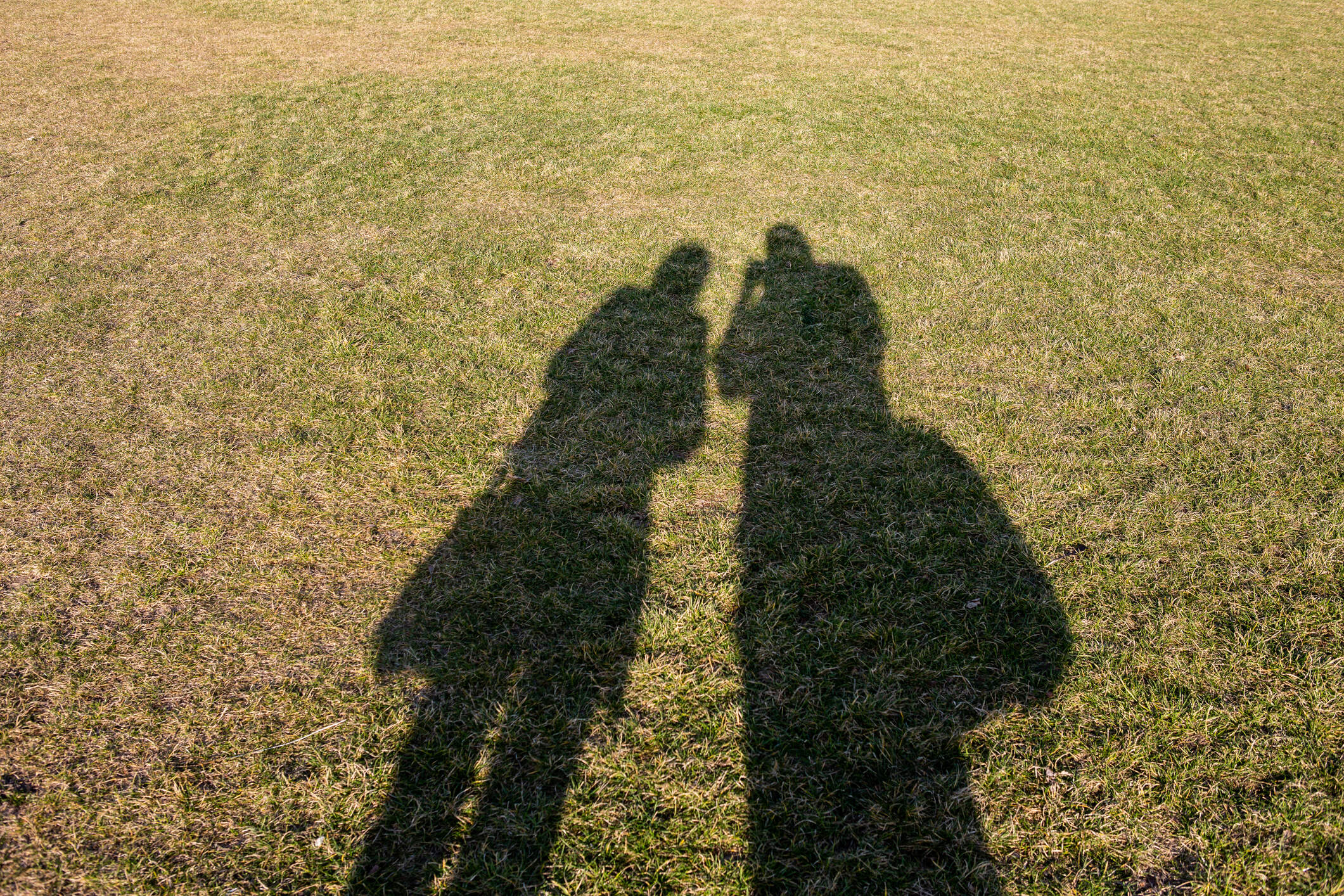 What we give — and receive — with the words, 'I'm sorry'