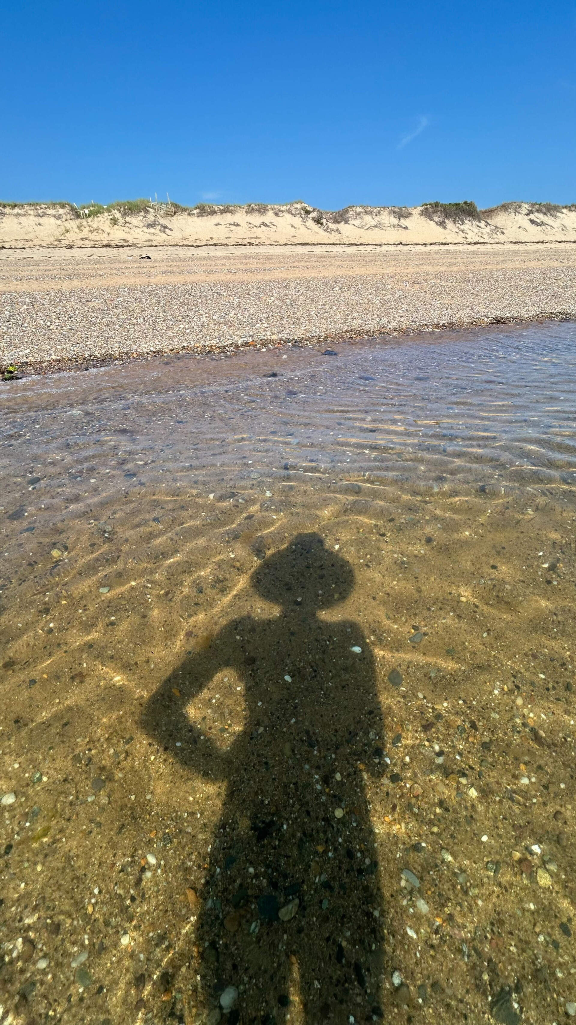 The author doing her favorite summer activity: swimming. (Courtesy Alysia Abbott)