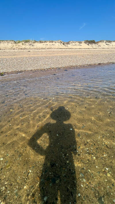 The author doing her favorite summer activity: swimming. (Courtesy Alysia Abbott)