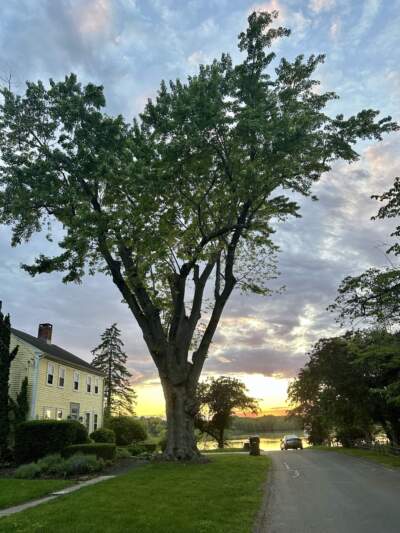 The author's childhood home, on May 26, 2025. (Courtesy Cloe Axelson)