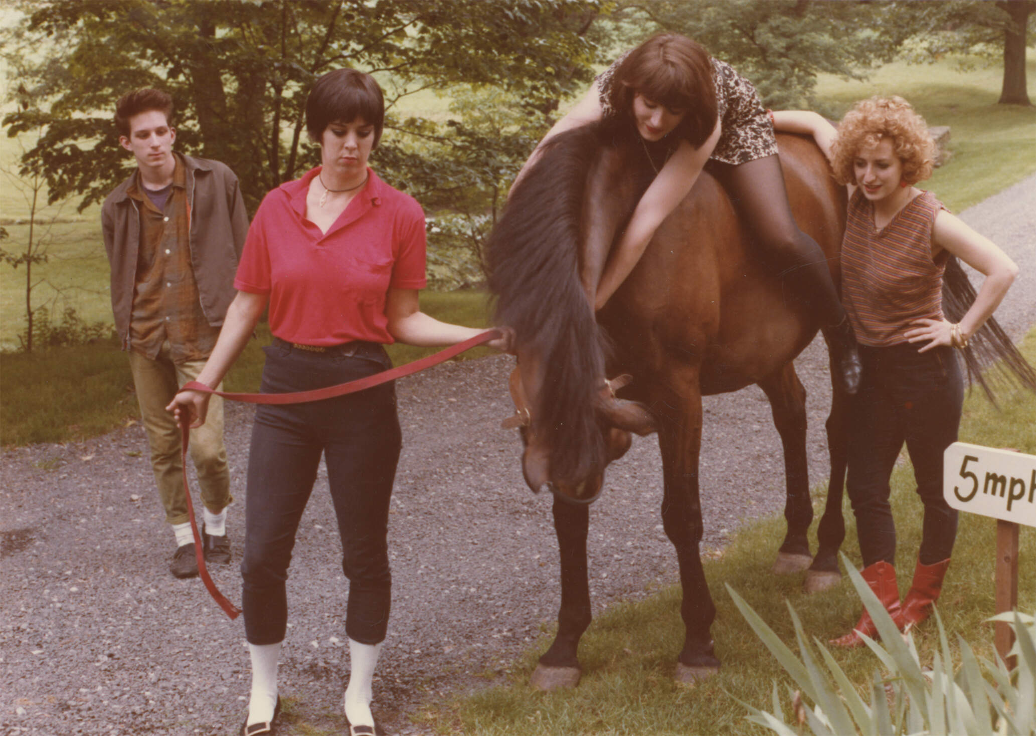 Robert Wilson, Judy Grunwald, Susan Merriam and Beth Kaplan at a photo shoot at Merriam's parent's house for Salem 66's album "A Ripping Spin." (Courtesy Tamara Bloch)